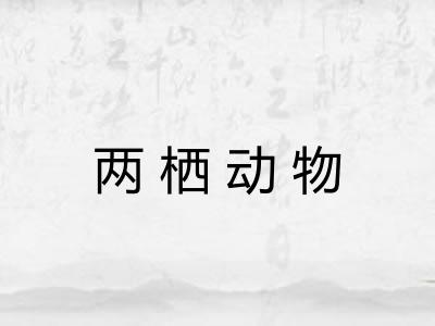 两栖动物