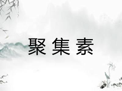 聚集素