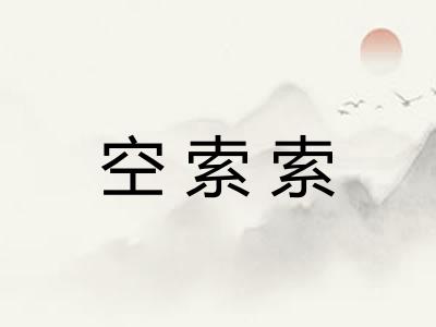 空索索