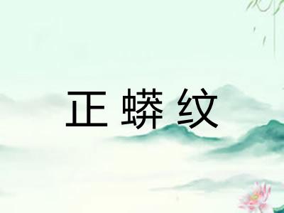 正蟒纹
