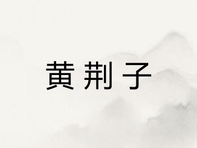 黄荆子