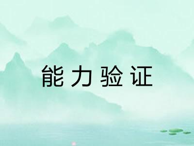 能力验证