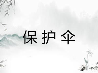 保护伞