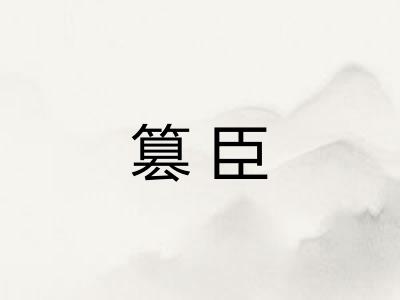 篡臣