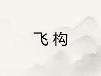 飞构