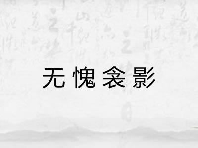 无愧衾影