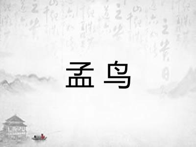 孟鸟