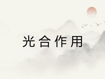 光合作用