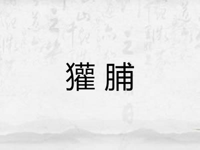 獾脯