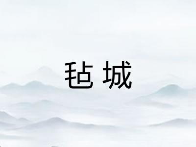 毡城