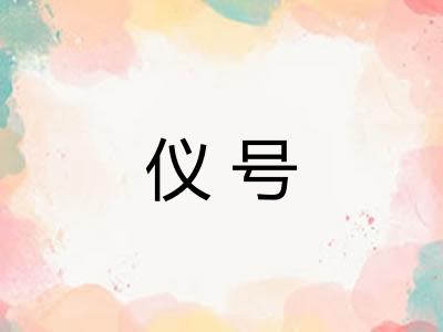 仪号