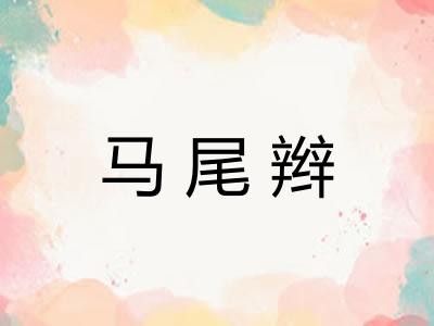 马尾辫