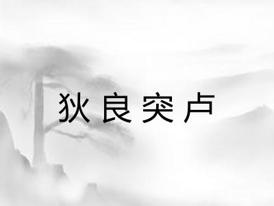 狄良突卢