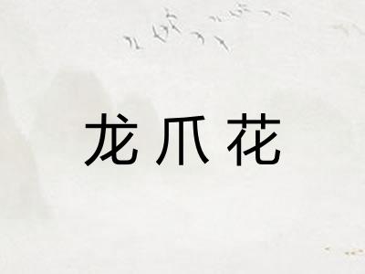 龙爪花