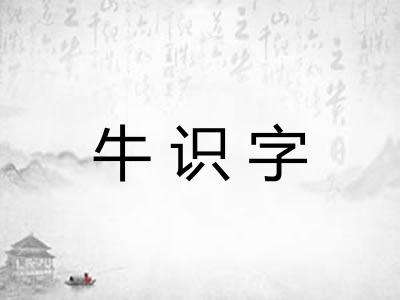 牛识字