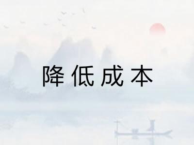 降低成本