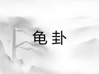 龟卦