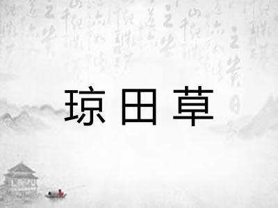 琼田草