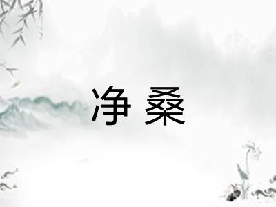 净桑
