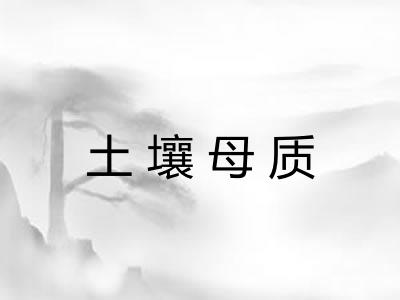 土壤母质