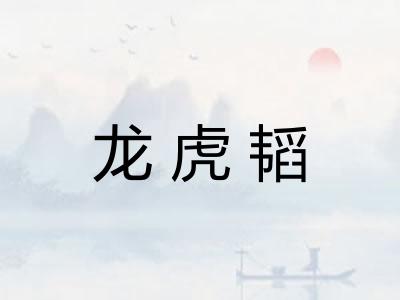 龙虎韬