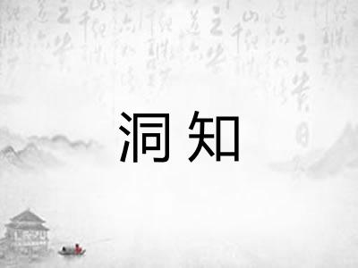洞知