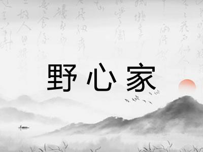 野心家