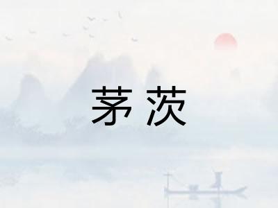 茅茨