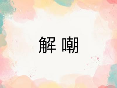解嘲