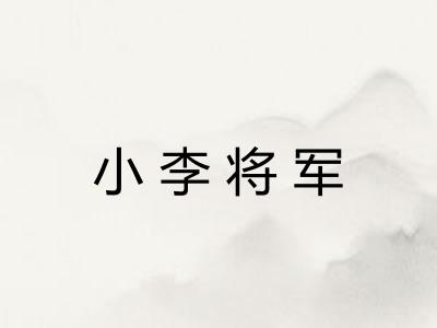 小李将军