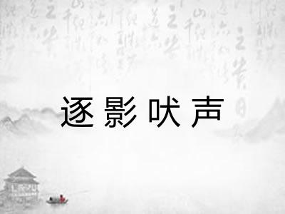 逐影吠声