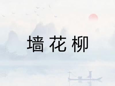 墙花柳