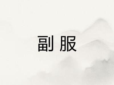 副服