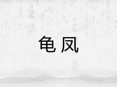 龟凤