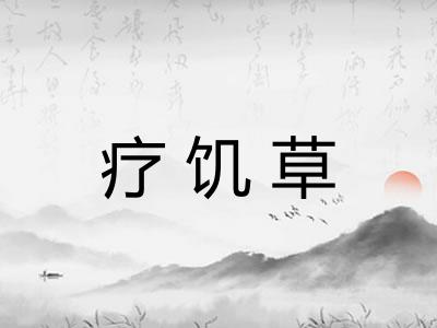疗饥草