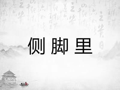侧脚里