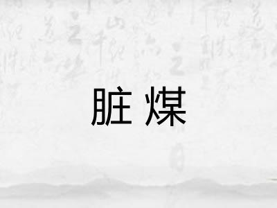 脏煤
