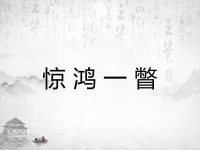 惊鸿一瞥
