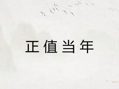 正值当年