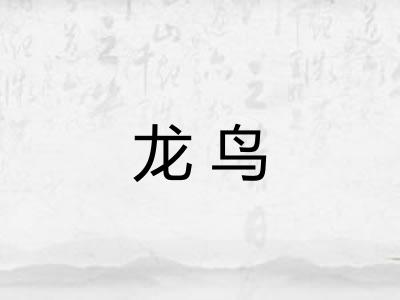 龙鸟