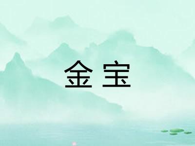 金宝