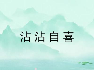 沾沾自喜