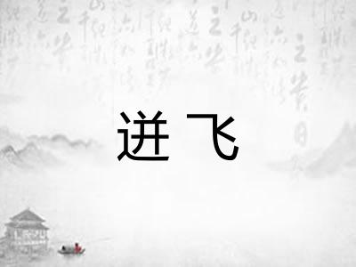 迸飞