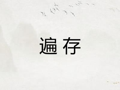 遍存