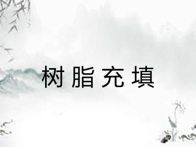 树脂充填