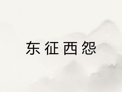 东征西怨