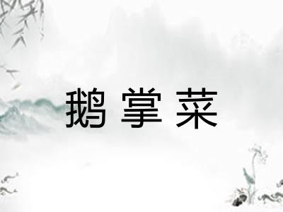 鹅掌菜