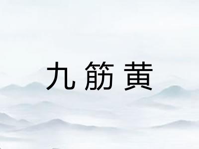 九筋黄
