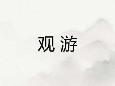 观游