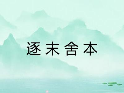 逐末舍本